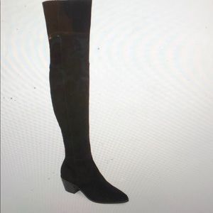 Steve Madden Lucca Over-the-Knee Suede Boot